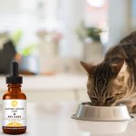 How to benefit your cat by giving it CBD oil?